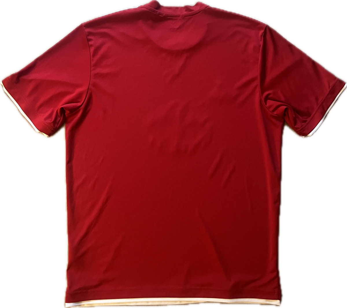 Denmark 2010/11 Training Shirt - (L) - 9/10
